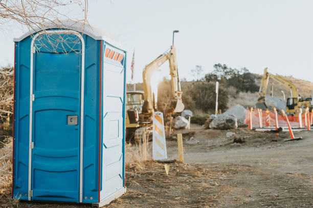 Best Sanitation services for porta potties  in Greenville, MI