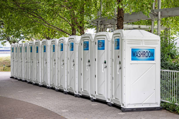 Best Portable bathroom rental  in Greenville, MI