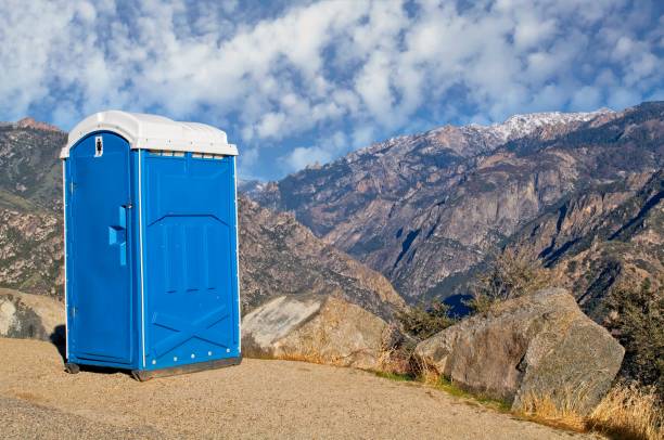 Best Wedding porta potty rental  in Greenville, MI