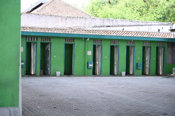 Best Sanitation services for porta potties  in Greenville, MI
