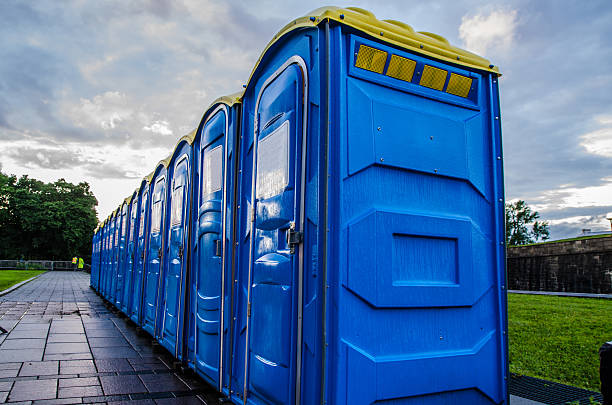Best Porta potty rental near me  in Greenville, MI